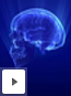 Neurology Movie Trailer